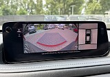 IMG_4701.JPG