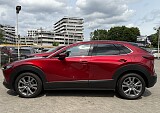 IMG_4682.JPG