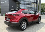 IMG_4688.JPG