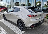 20250513_170121.jpg