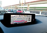 IMG_20240110_145847.jpg