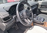 123739_28942_40b7b43f-d637-45d2-9d09-39987f269f80.JPEG
