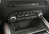 IMG_5412.JPG