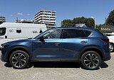 IMG_5154.JPG