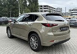 IMG_5393.JPG
