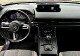 IMG_9464.JPG