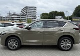 IMG_5390.JPG