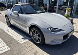 IMG_4806.JPEG