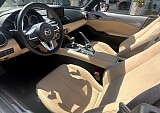 IMG_4789.JPEG