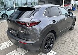 IMG_4831.JPEG