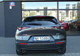 P1060700.JPG