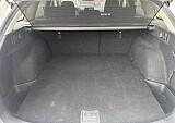 IMG_5005.JPEG