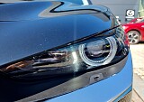 20250808_141307.jpg