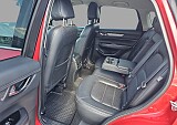 13_09366a84-9bd6-4856-b7db-a14d22d2406a_final_image (Large).jpg