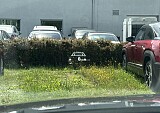 nr_012.jpg