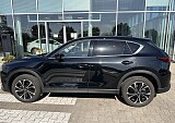 IMG_5151.JPEG