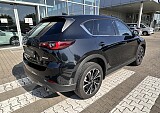 IMG_5139.JPEG
