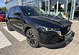 IMG_5137.JPEG