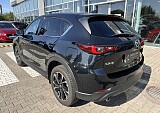IMG_5150.JPEG