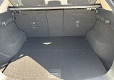 IMG_5141.JPEG