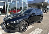 IMG_5152.JPEG