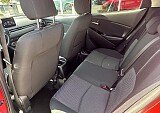 IMG_5164.JPEG