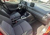 IMG_5155.JPEG