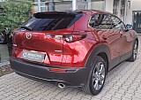 20250819_161032-min.jpg