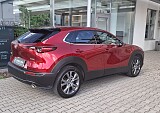 20250819_161102-min.jpg