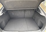 IMG_5311.JPEG