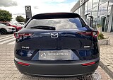IMG_5297.JPEG