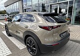 IMG_5309.JPEG