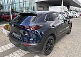 IMG_5299.JPEG