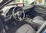 IMG_5293.JPEG