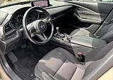 IMG_5312.JPEG