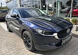 IMG_5301.JPEG