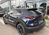 IMG_5292.JPEG