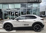 IMG_5272.JPEG