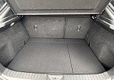 IMG_5298.JPEG