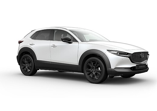 Mazda CX-30 - Kolor Snowflake White Pearl