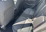 IMG_5079.JPEG