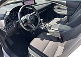 IMG_5075.JPEG