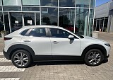 IMG_5082.JPEG