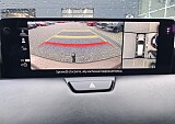 115857_29730_59b77852-42f7-4fbd-84e2-76c4d95b6866.JPEG