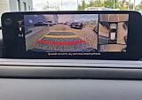 150912_33578_adf09cb3-fd1e-403d-8782-cdc9e33f3da8.JPEG