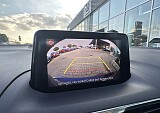 IMG_5480.JPEG
