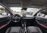 IMG_5509.JPEG