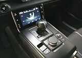 IMG_20250123_152205.jpg