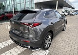 IMG_5542.JPEG