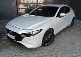 IMG_20250729_113751.jpg